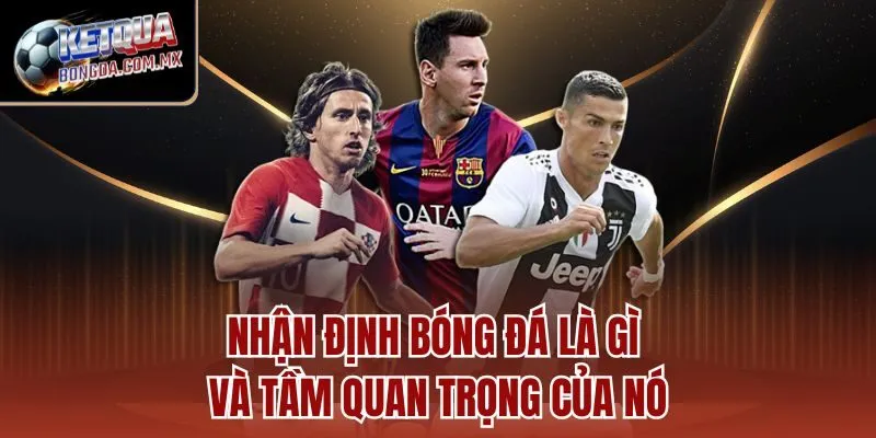 Thông tin tổng quan về Ketquabongda.com