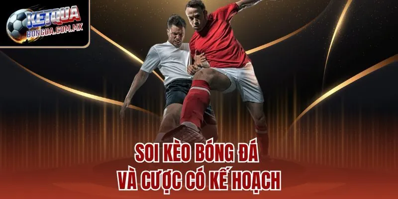 Soi kèo bóng đá và cược có kế hoạch